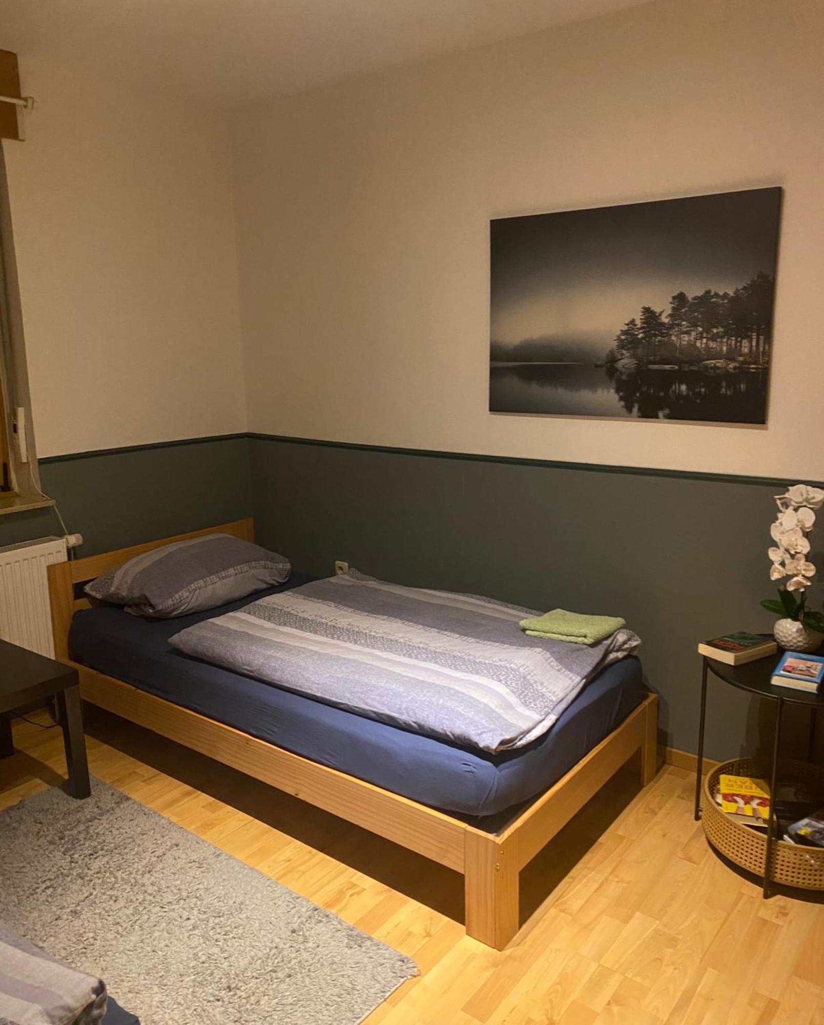 Palms Zimmer فريشن المظهر الخارجي الصورة